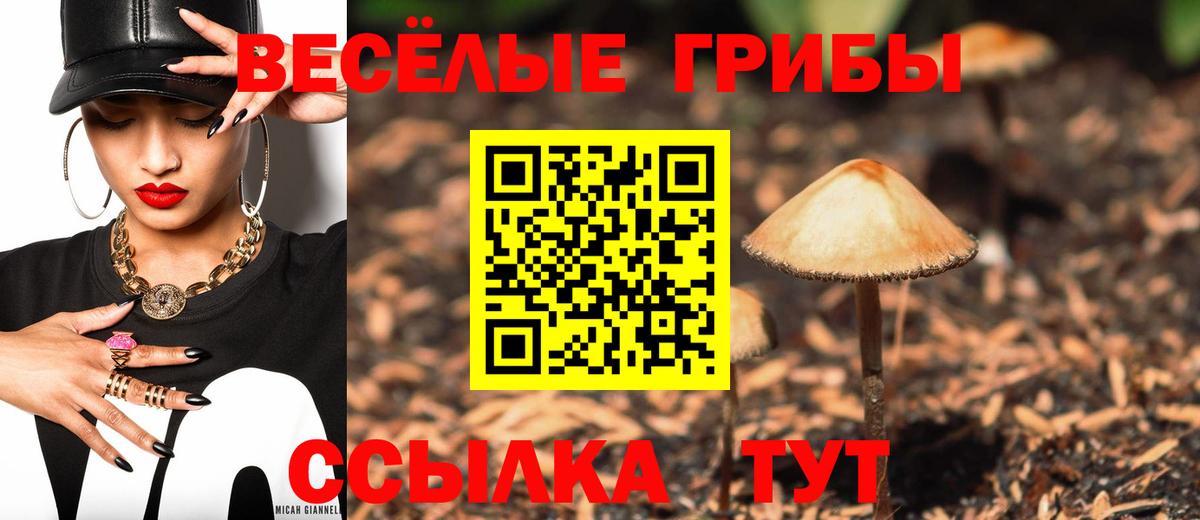 Псилоцибиновые грибы мухоморы  Вход с VPN  Галлюциногенные грибы GOLDEN TEACHER  купить наркотик  Усть-Илимск 